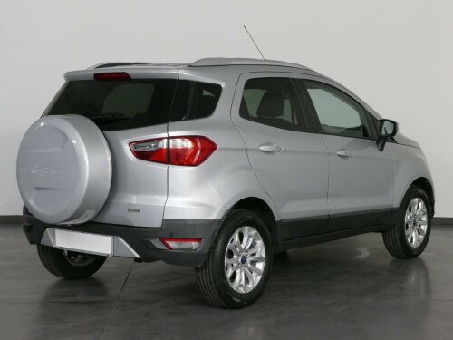 ford ecosport 1.0 ecoboost business